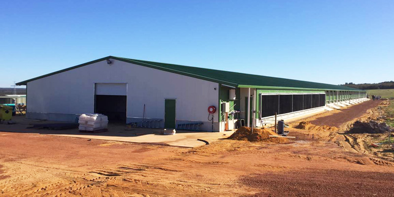 Agricultural Steel Building